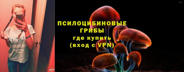 бошки Новозыбков