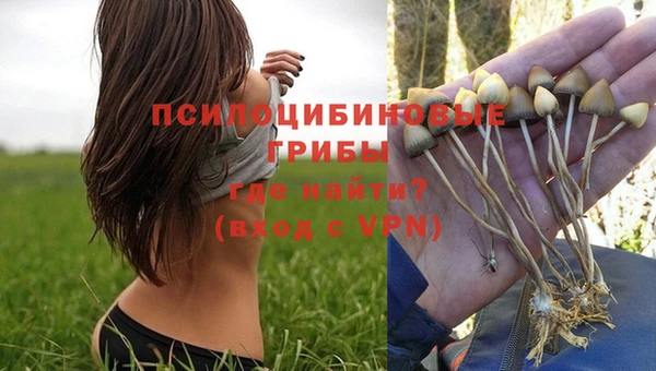 соль курить ск Новодвинск