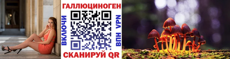 Псилоцибиновые грибы Psilocybe  Тольятти 