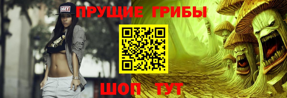 Псилоцибиновые грибы GOLDEN TEACHER Тольятти